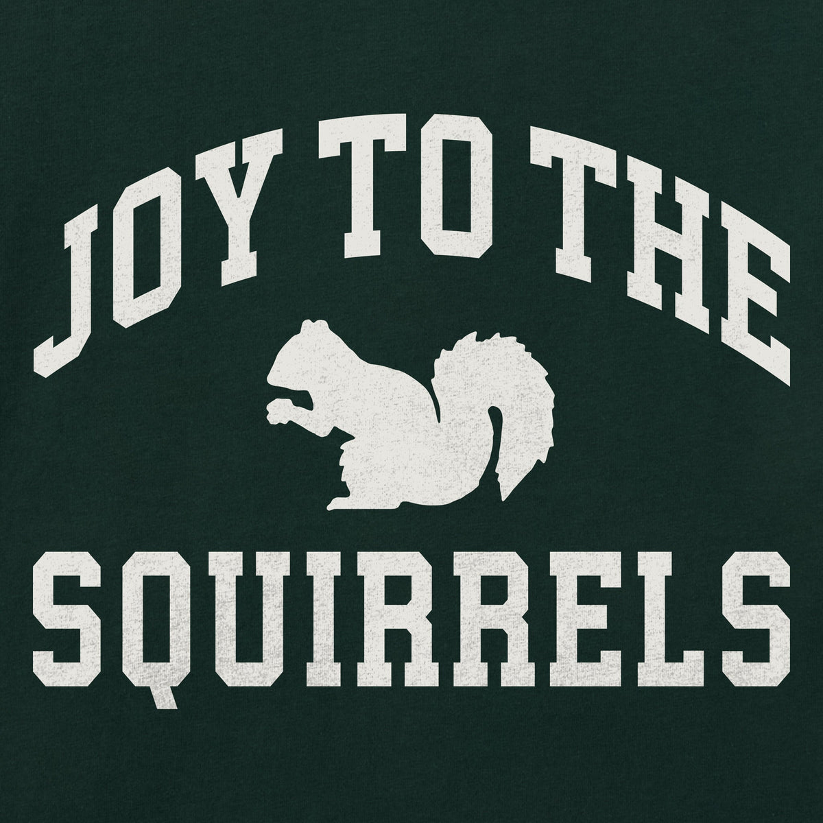 Kids Joy to the Squirrels Arch Long Sleeve Crusher Tee product image 2