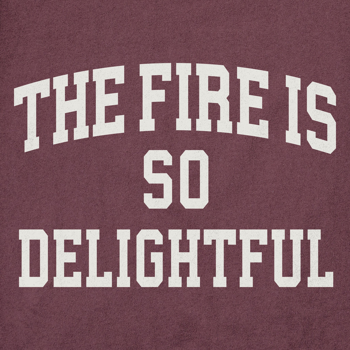 Men's The Fire is so Delightful Arch Long Sleeve Crusher Tee product image 2