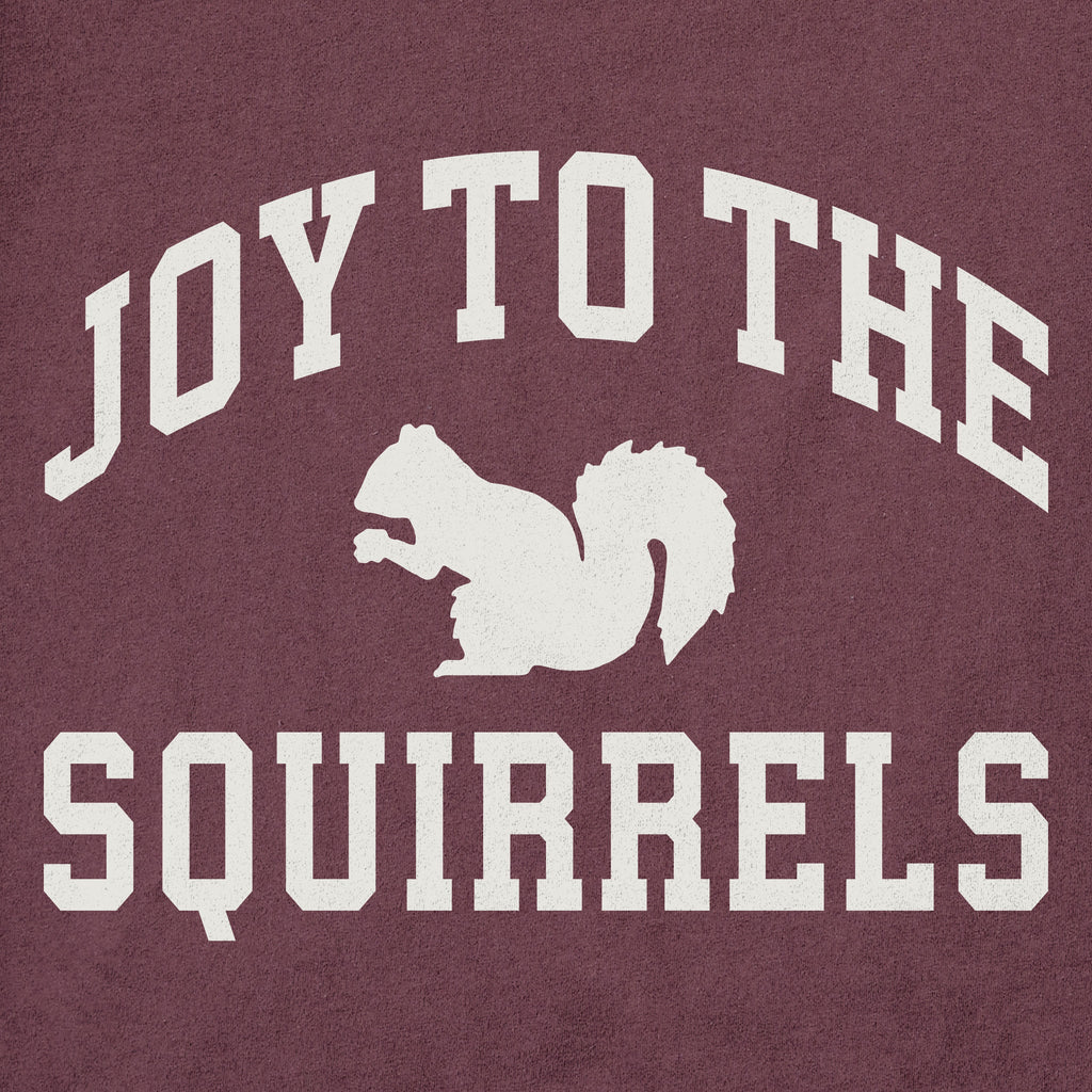 Men's Joy to the Squirrels Arch Long Sleeve Crusher Tee product image 2