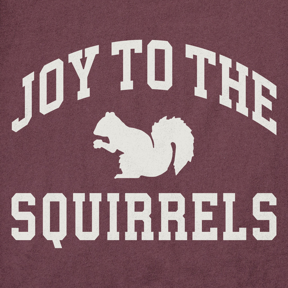 Men's Joy to the Squirrels Arch Long Sleeve Crusher Tee product image 2