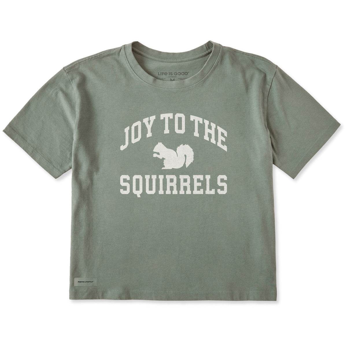 Women's Joy to the Squirrels Arch Short Sleeve Crusher Boxy product image 1