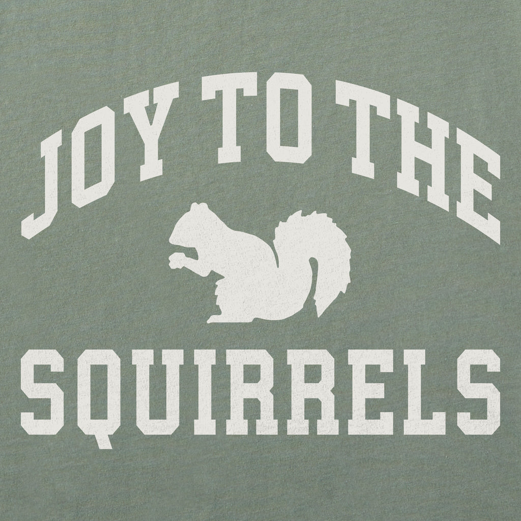Women's Joy to the Squirrels Arch Short Sleeve Crusher Boxy product image 2