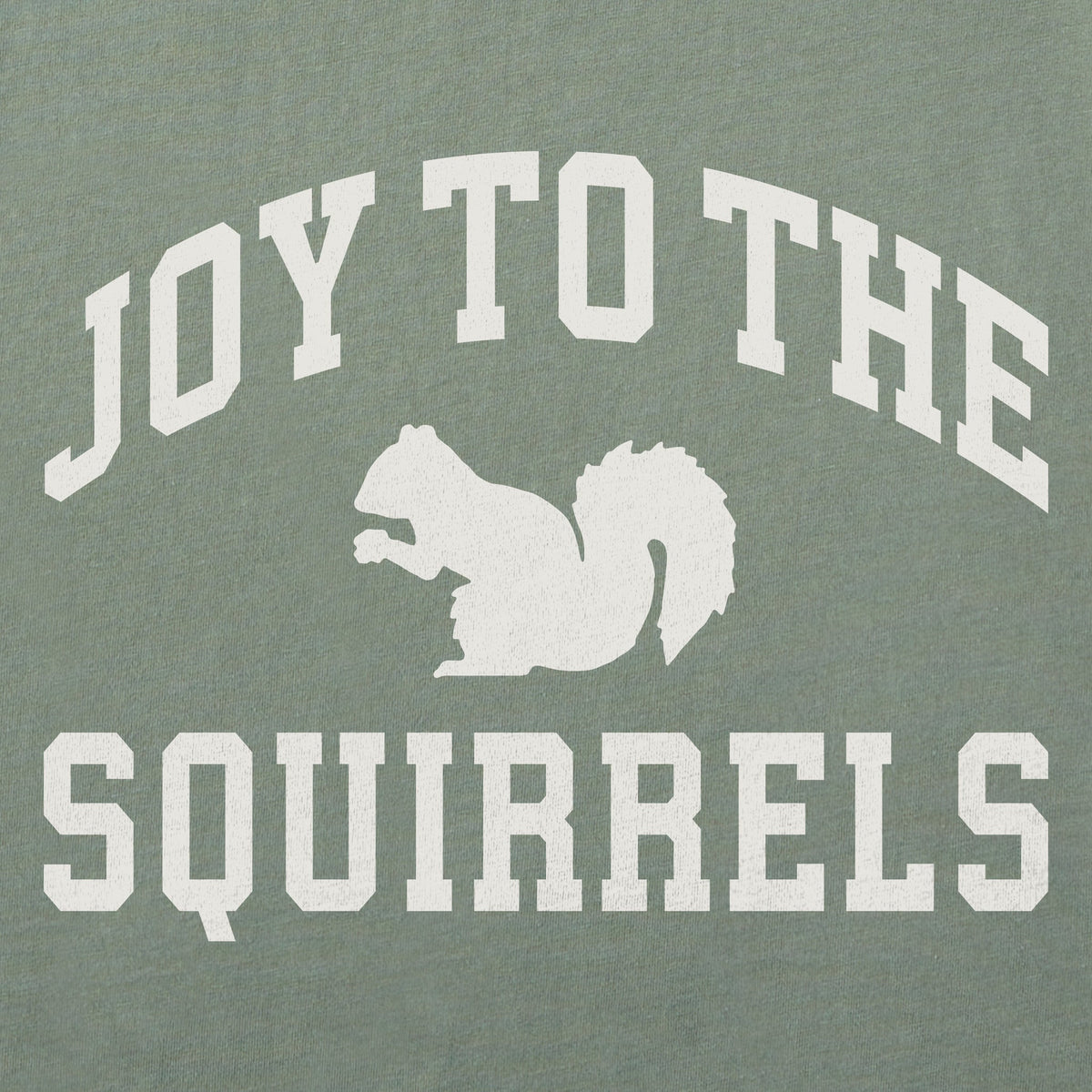Women's Joy to the Squirrels Arch Short Sleeve Crusher Boxy product image 2