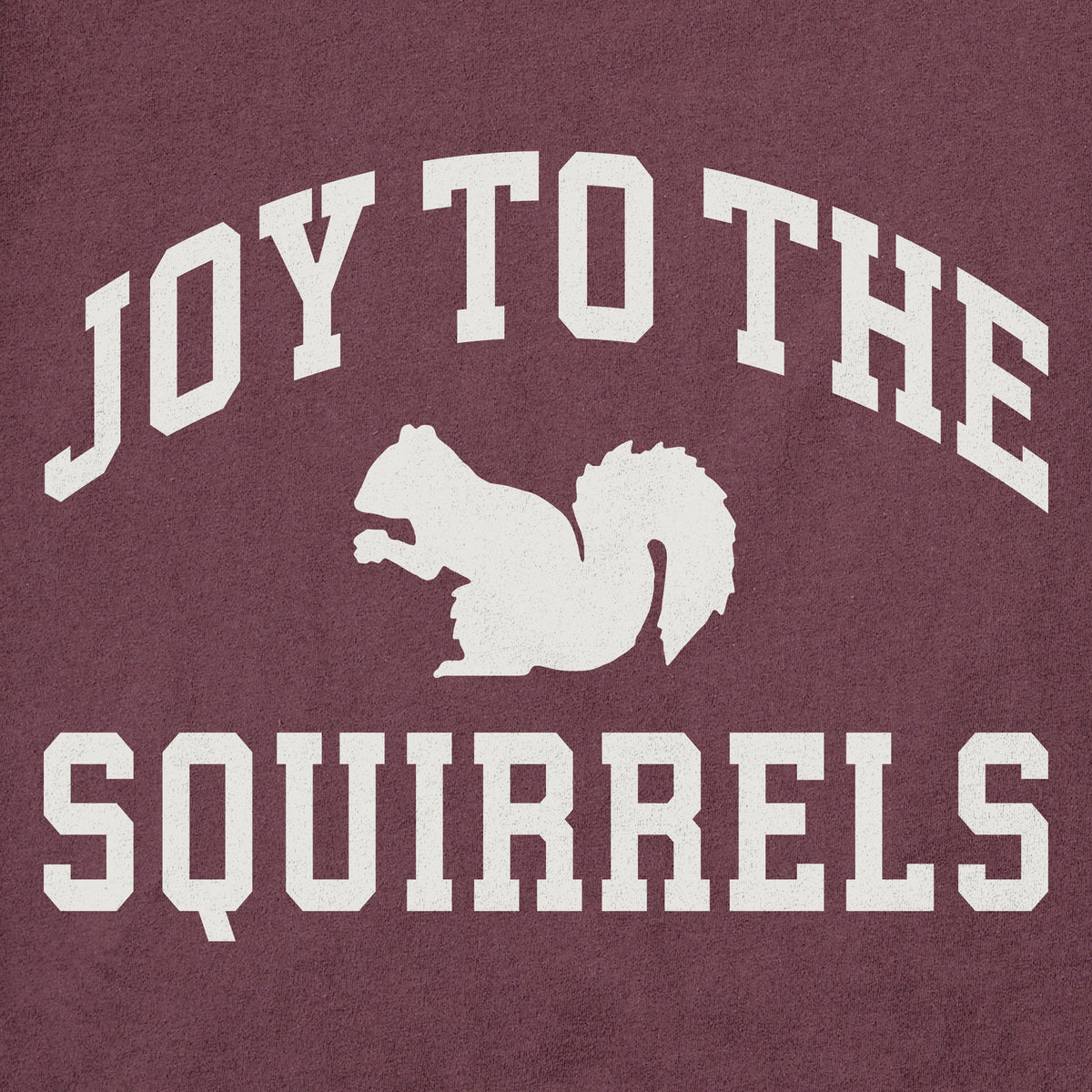 Women's Joy to the Squirrels Arch Long Sleeve Crusher Tee product image 2