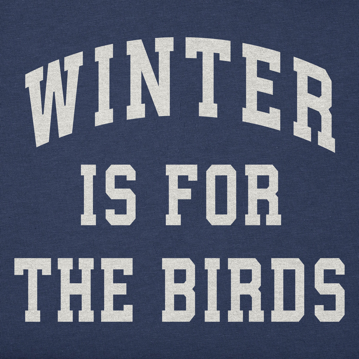 Women's Winter is for the Birds Arch Long Sleeve Crusher Tee product image 2