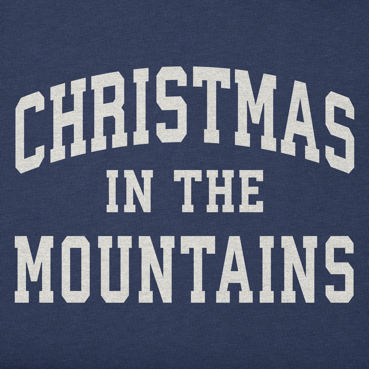 Women's Christmas in the Mountains Arch Long Sleeve Crusher product image 2