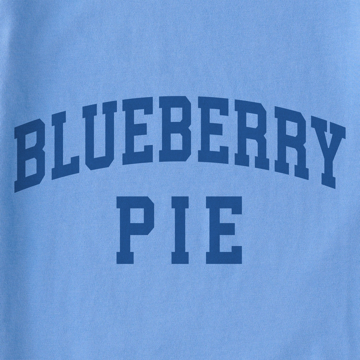 Kids Blueberry Pie Arch Short Sleeve Crusher Tee product image 2