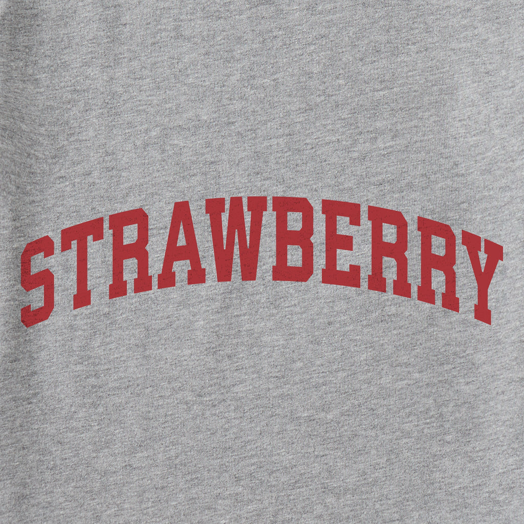 Men's Strawberry Arch Short Sleeve Crusher Tee product image 2