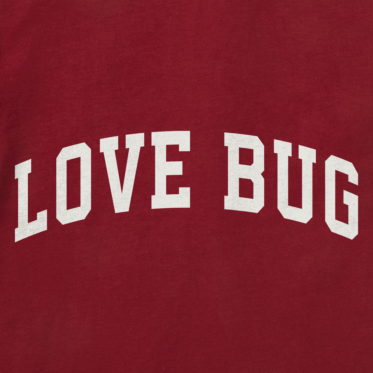 Kids Love Bug Arch Long Sleeve Crusher Tee product image 2