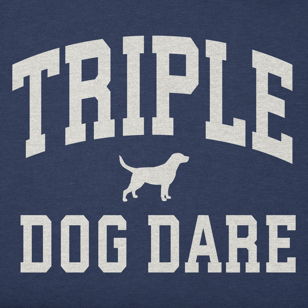 Kids Triple Dog Dare Arch Long Sleeve Crusher Tee product image 2