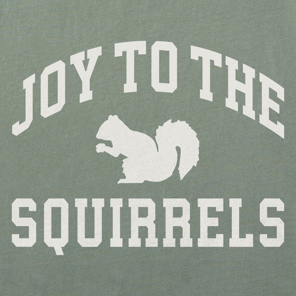 Men's Joy to the Squirrels Arch Long Sleeve Crusher Tee product image 4