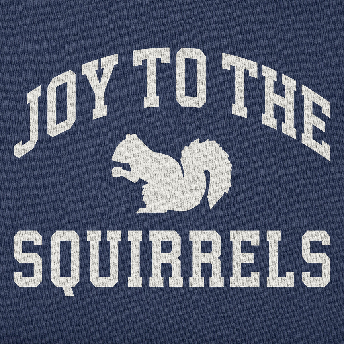 Men's Joy to the Squirrels Arch Long Sleeve Crusher Tee product image 6