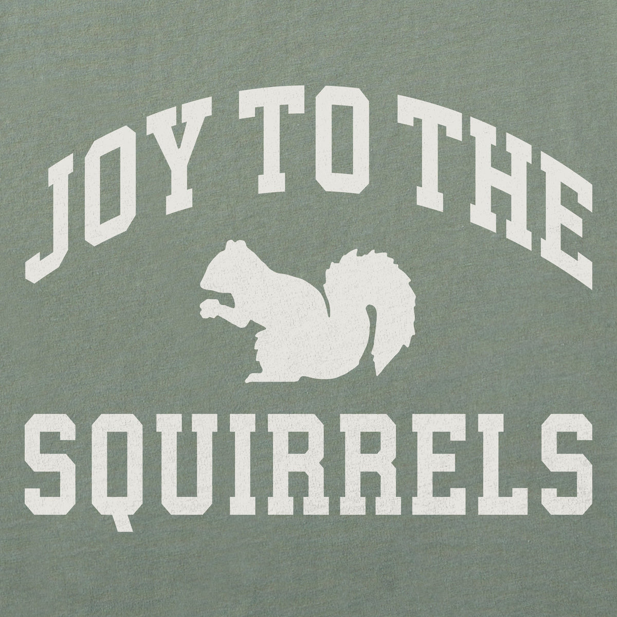 Women's Joy to the Squirrels Arch Long Sleeve Crusher Tee product image 4