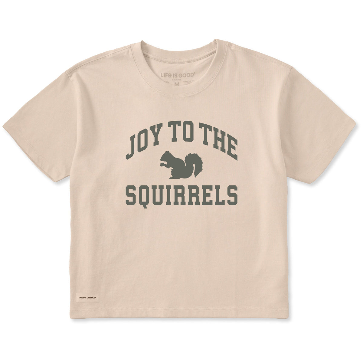Women's Joy to the Squirrels Arch Short Sleeve Crusher Boxy product image 3