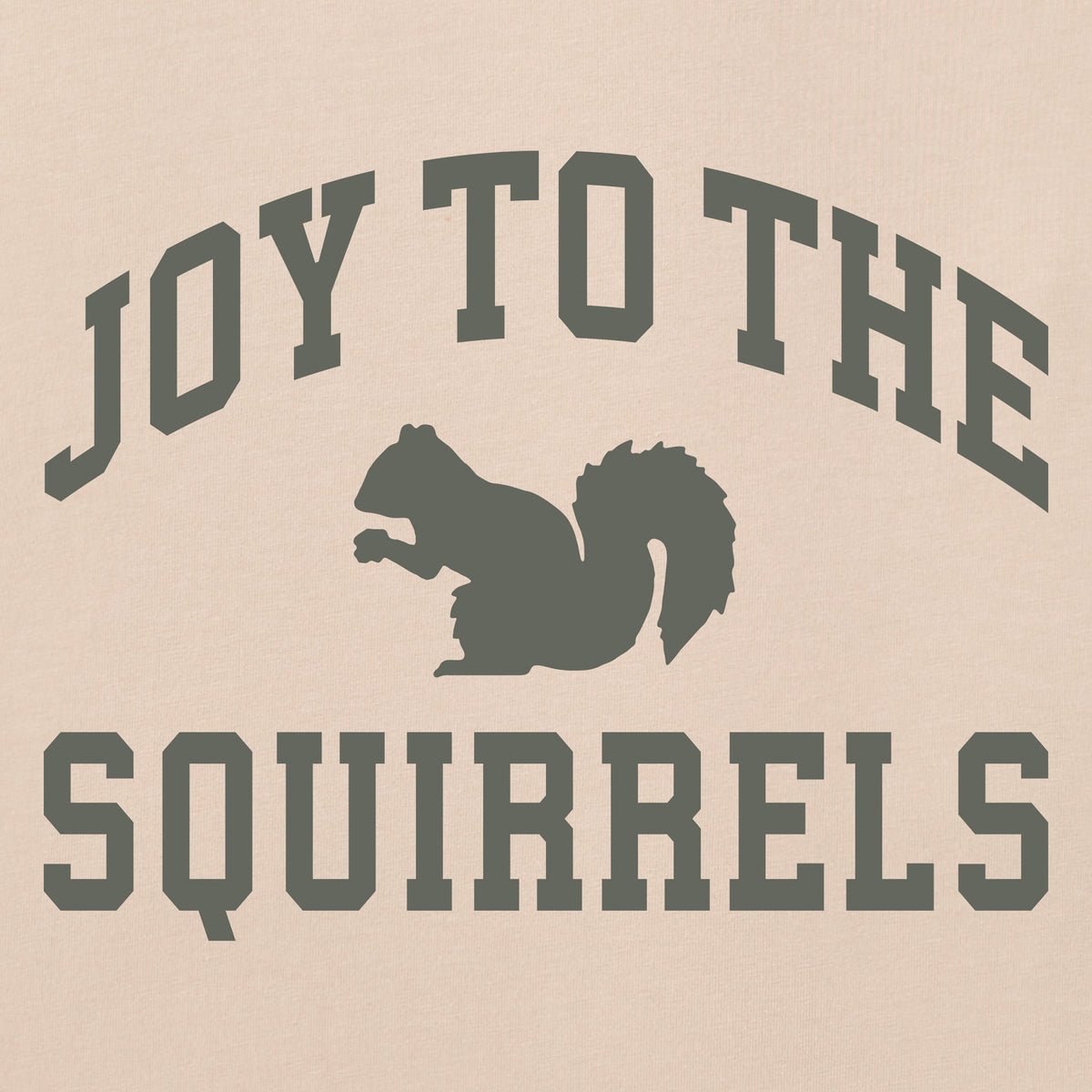 Women's Joy to the Squirrels Arch Short Sleeve Crusher Boxy product image 4