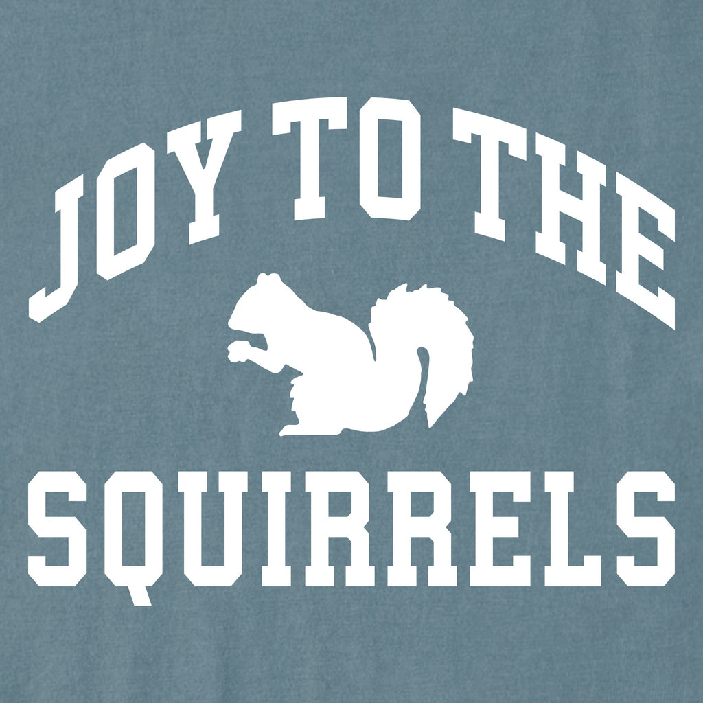 Women's Joy to the Squirrels Arch Long Sleeve Crusher Tee product image 6