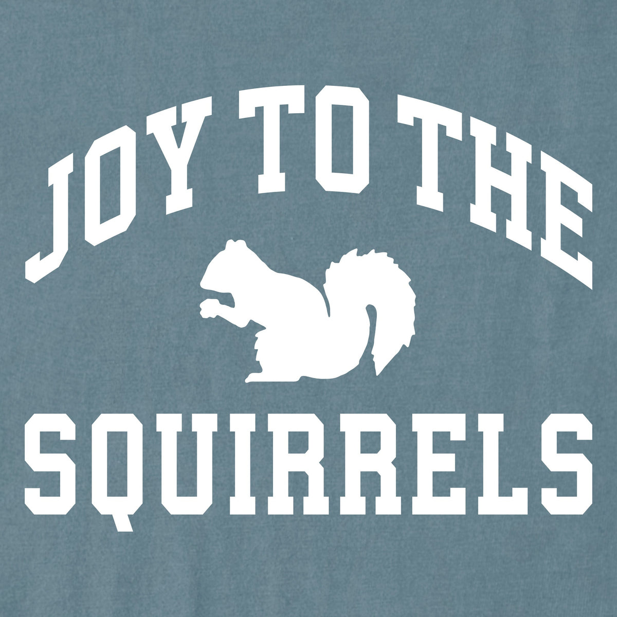 Women's Joy to the Squirrels Arch Long Sleeve Crusher Tee product image 6