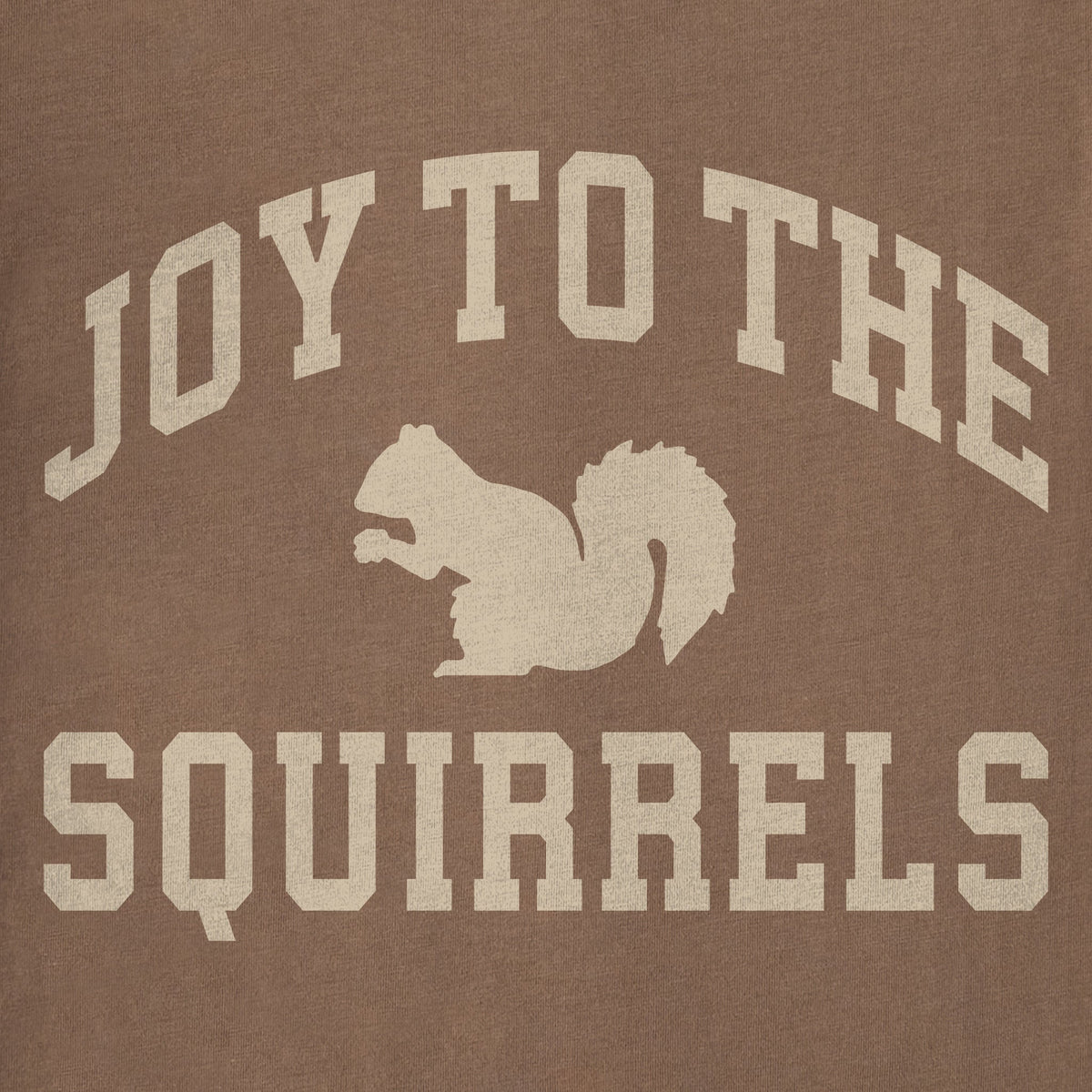 Women's Joy to the Squirrels Arch Long Sleeve Crusher Tee product image 8